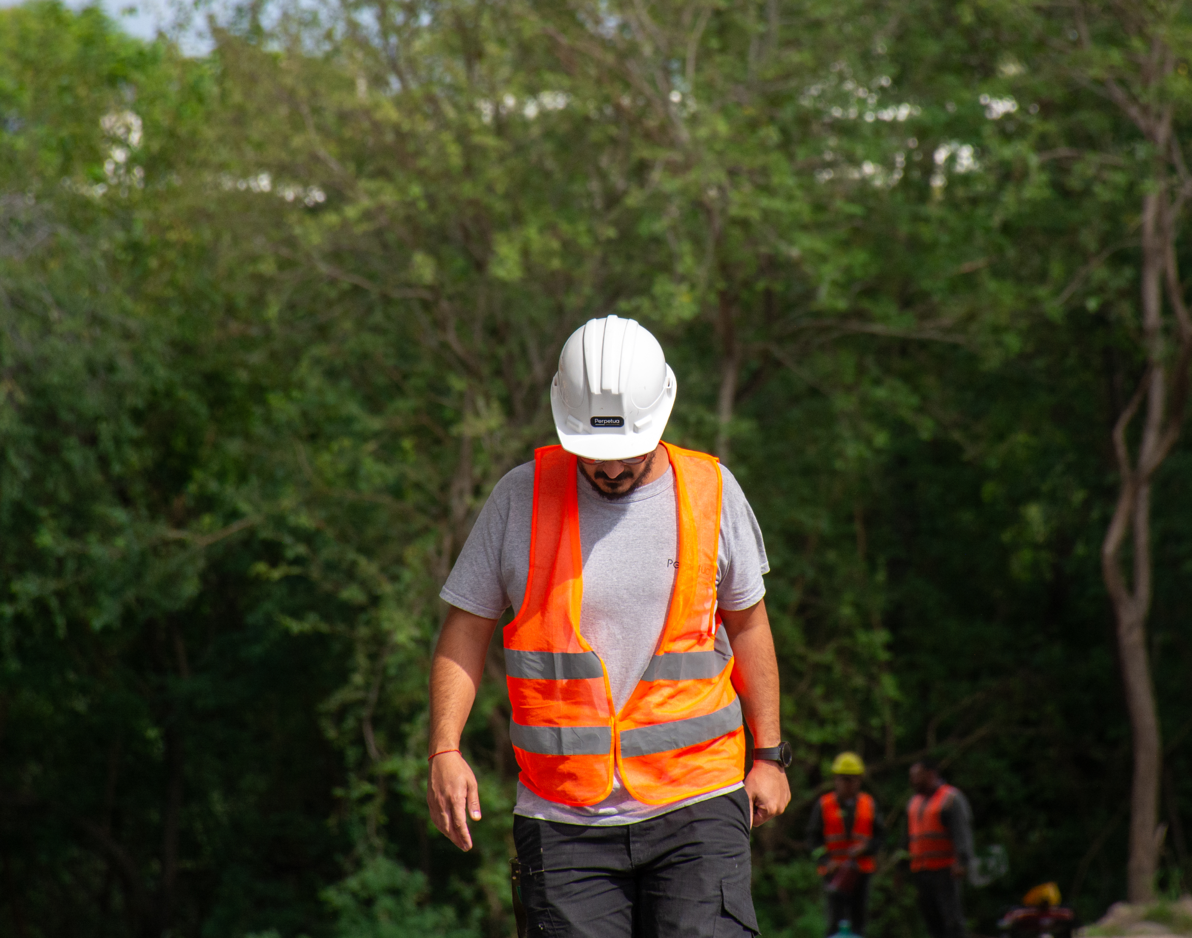 perpetua_nosotros_trayectoria